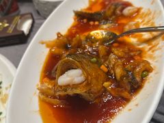 -骏莱海鲜鱼港(五角场店)