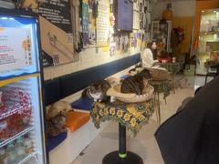 -平行世界·猫咖(首经贸店)