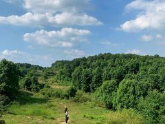 -铁山坪森林公园