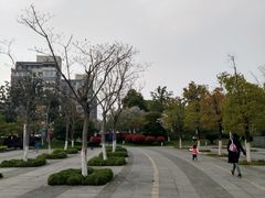 -玉山公园