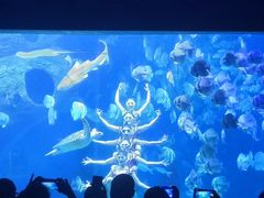 -多彩贵州城极地海洋世界