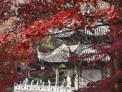 -习家池