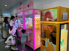 -厦门高崎国际机场-T3航站楼