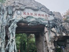 -莫里热带雨林景区