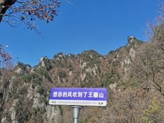 -王顺山国家森林公园
