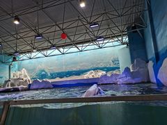 -秦皇岛乐岛海洋王国