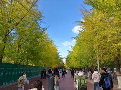 -辽宁大学(崇山校区)