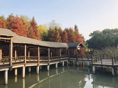 -溱湖国家湿地公园