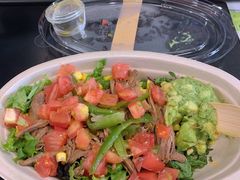 -油梨树AVOCADO TREE(望京店)