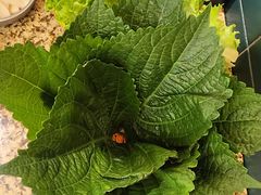 -首尔烤肉大排档(合生汇店)