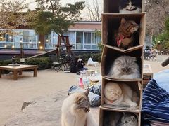 -旺顺阁海鲜广场(亚运村店)