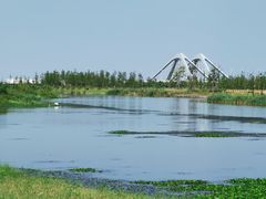 -春花秋色城市公园