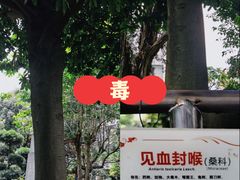 -广州神农草堂中医药博物馆