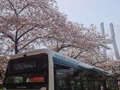 -南浦大桥长途旅游客运站