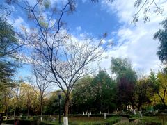 -乡党臊子面(丰庆公园店)