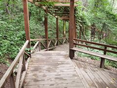 -大岭沟猕猴桃谷风景区