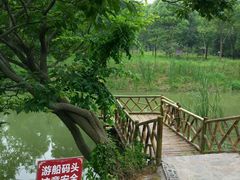 环境-姚家寨