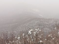-定都阁