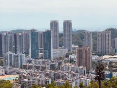 -板樟山森林公园