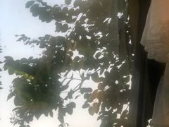 -默迹咖啡馆