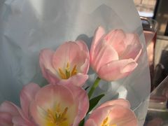 -三旗百汇商品城