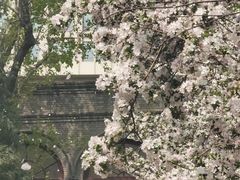 -南开大学(八里台校区)