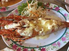 龙虾-Red Lobster