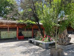 -渭南桃花源民俗文化园