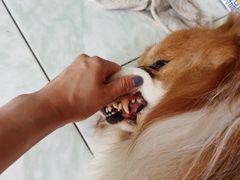 -美联众合动物医院(唯恩分院)