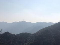 -随州碧桂园凤悦凤凰酒店