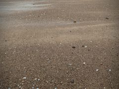 -大京沙滩