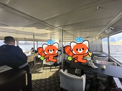 -多瑙河游船