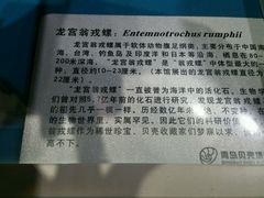 -青岛贝壳博物馆