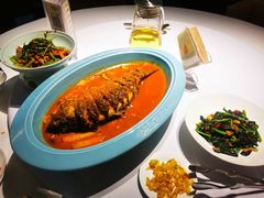 -阿五黄河大鲤鱼(纬三路店)