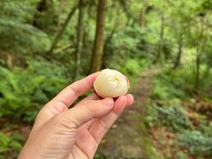 -东白山