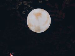 -蓝鲸湾汤泉(包河店)