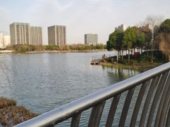 -南翔镇银翔湖公园