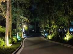 -青城道汤池