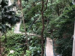 -香港大学