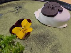 -蒙料·手把肉(望京店)