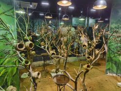 -Zoolung Zoolung动物主题公园(海信广场店)