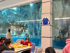 -帝企鹅自助餐厅•儿童岛•真企鹅(长隆企鹅酒店)