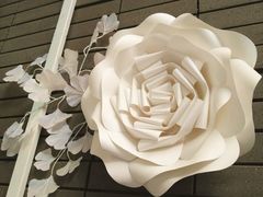 -八喜G’nature冰淇淋旗舰店