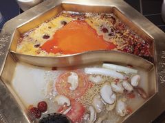 -蜀九香火锅(彩虹店)
