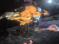 -同济大学四平路校区深海探索馆