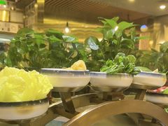 -烹然四季椰子鸡火锅(团结湖总店)