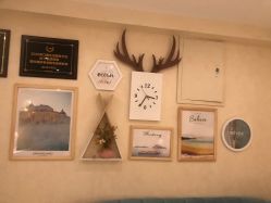 -薇兰专业脱毛连锁机构