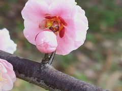 -贡湖湾湿地公园