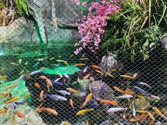 -太平洋海底世界