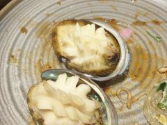 清蒸小鲍鱼-必点海鲜·鲅鱼水饺(鞍山西道店)